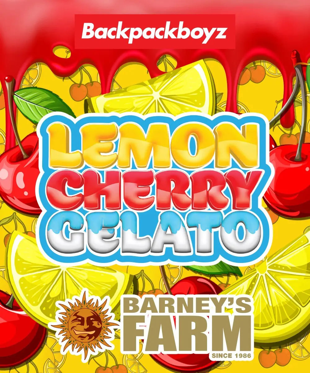 Lemon Cherry Gelato Strain 32% THC